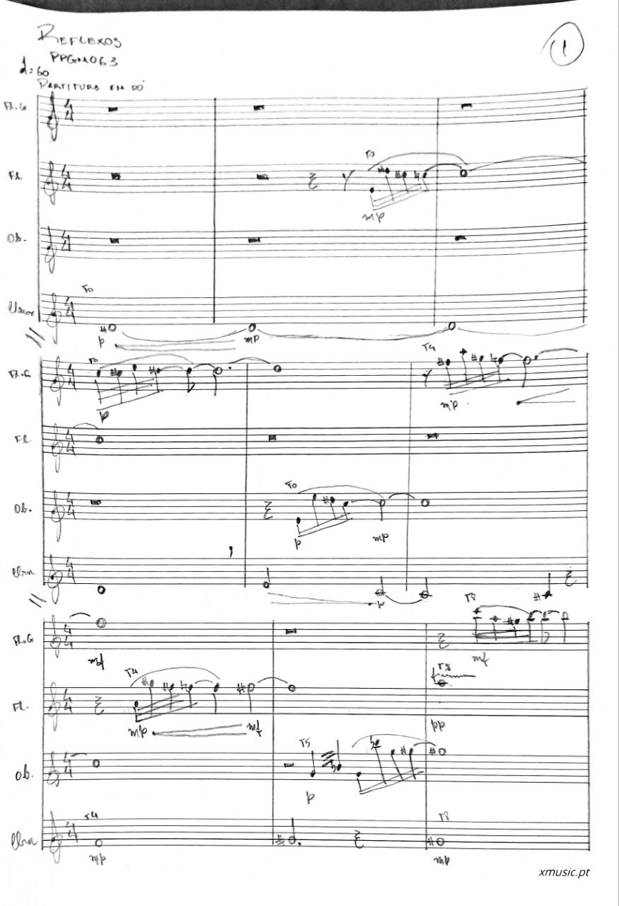 handwritten text about Reflexos composition